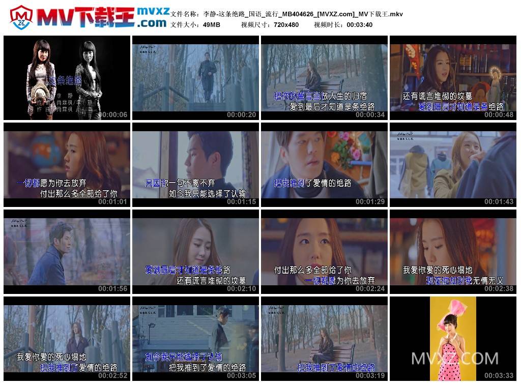 李静-这条绝路_国语_流行_MB404626